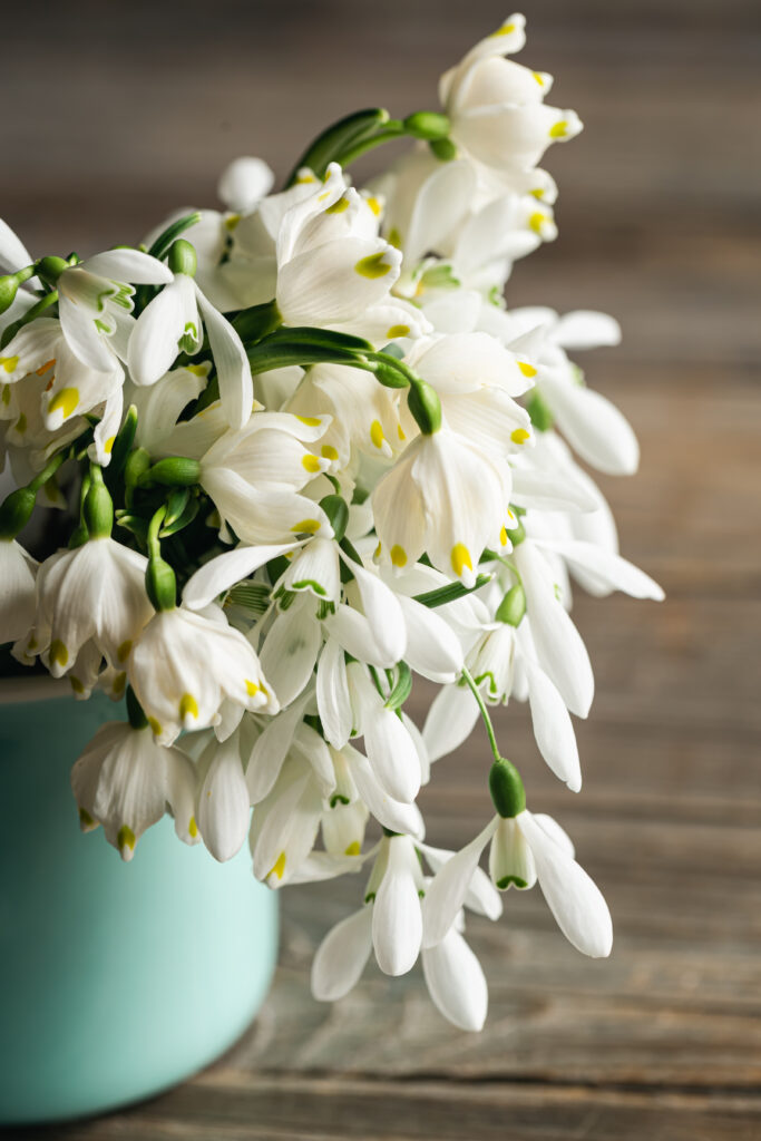 Best Smelling Plants for Indoors