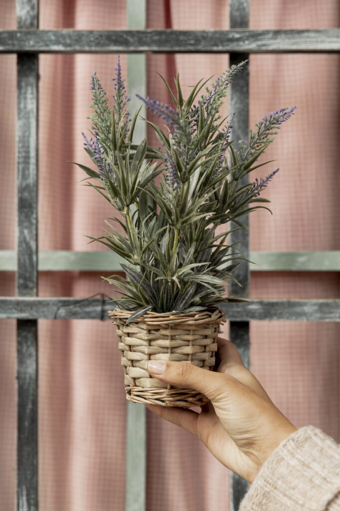 Best Smelling Plants for Indoors