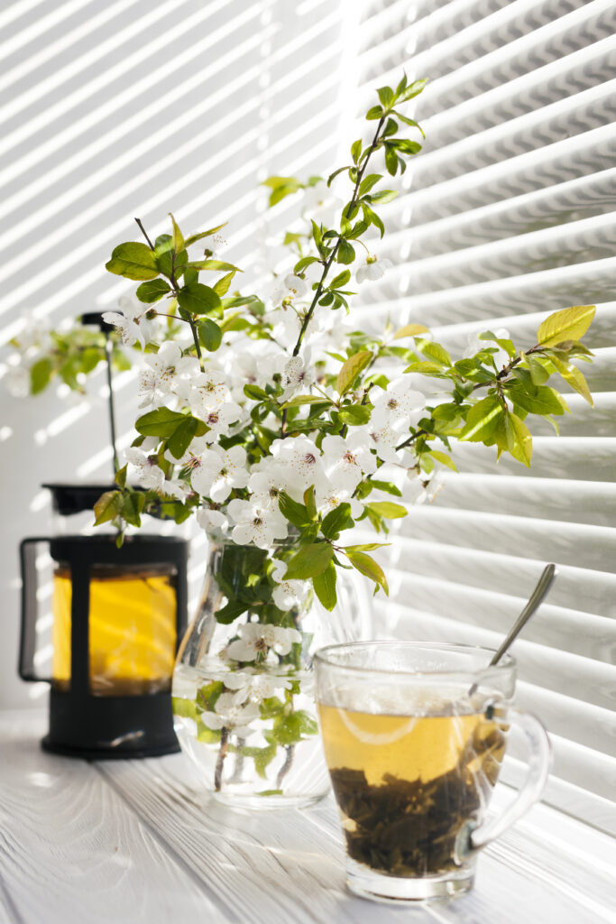 Best Smelling Plants for Indoors